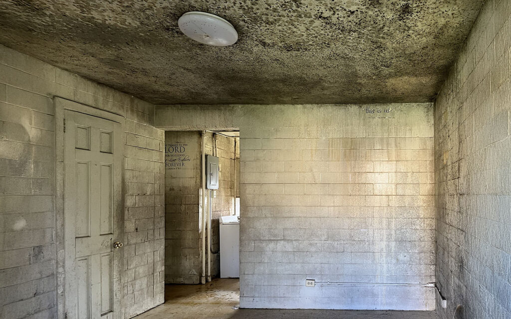 Mold vs. Moisture: Why IAQ Issues Persist moldf c