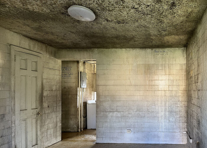 Mold vs. Moisture: Why IAQ Issues Persist
